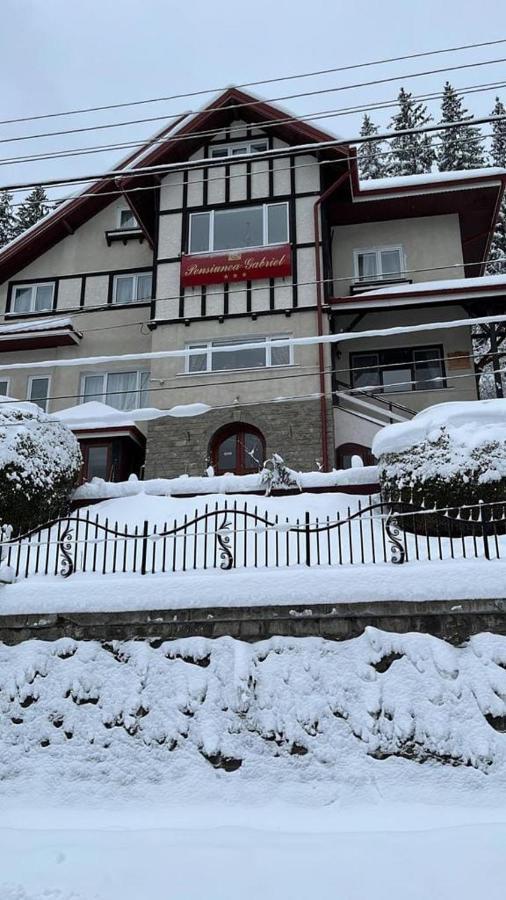 Vila Gabriel Hotel Sinaia Exterior photo