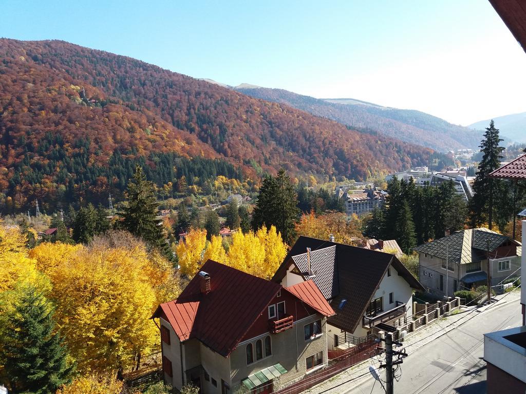 Vila Gabriel Hotel Sinaia Exterior photo