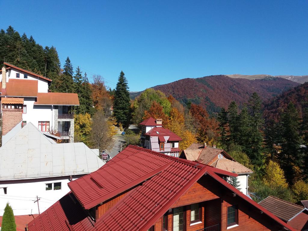 Vila Gabriel Hotel Sinaia Exterior photo