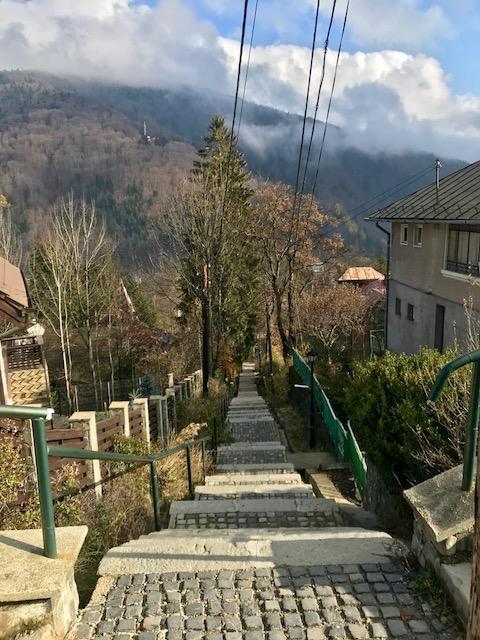 Vila Gabriel Hotel Sinaia Exterior photo