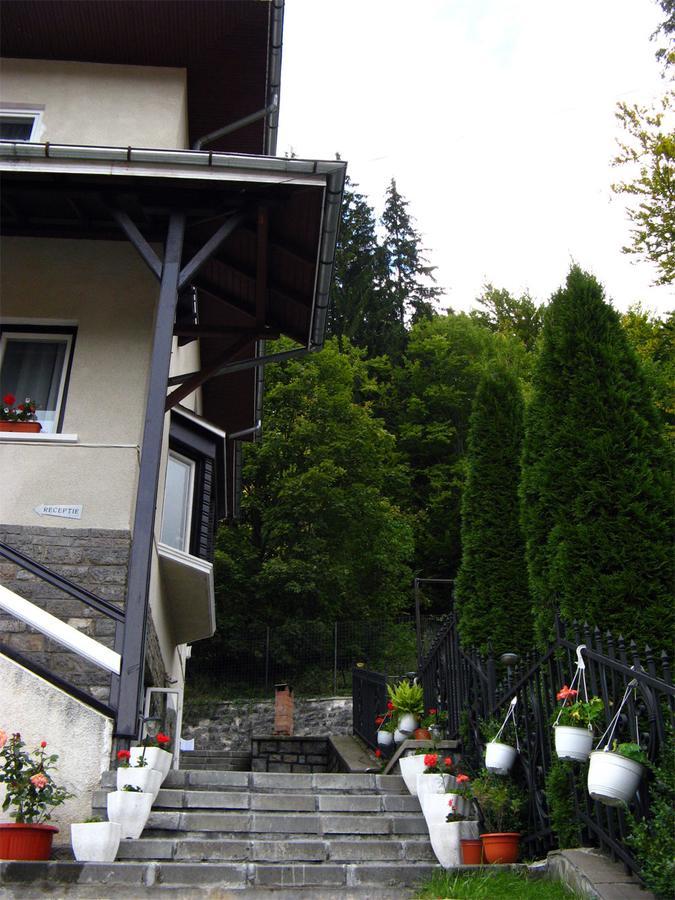 Vila Gabriel Hotel Sinaia Exterior photo