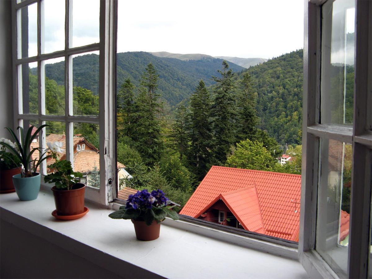 Vila Gabriel Hotel Sinaia Exterior photo