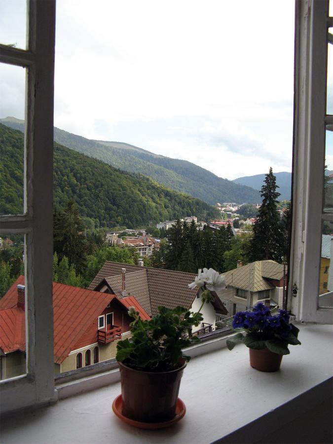 Vila Gabriel Hotel Sinaia Exterior photo