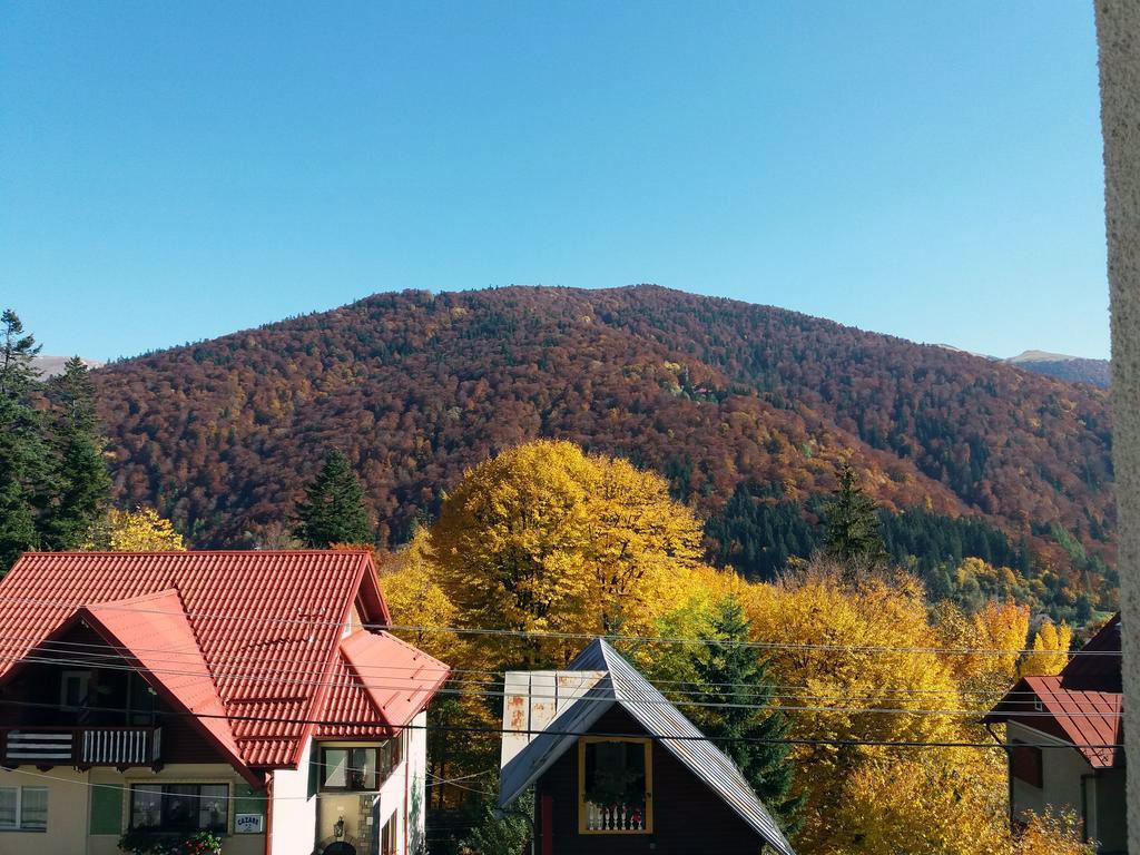 Vila Gabriel Hotel Sinaia Exterior photo